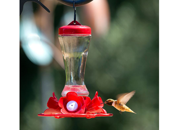 Hummingbird Feeder With Bee Guard