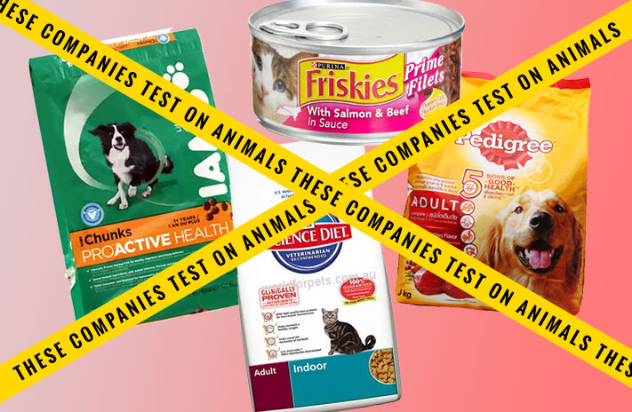 Dog food brands to avoid