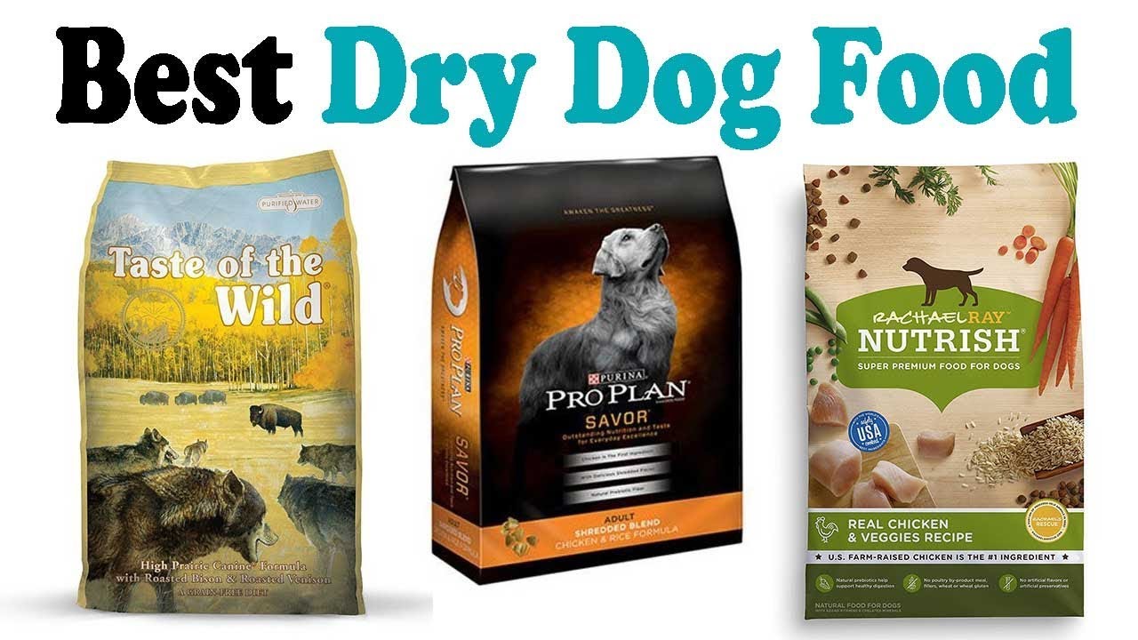 12 Best Dry Dog Food Reviews (In 2020) Pest Tutorial