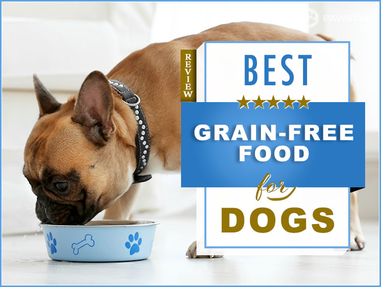 best-grain-free-dog-food-petstutorial