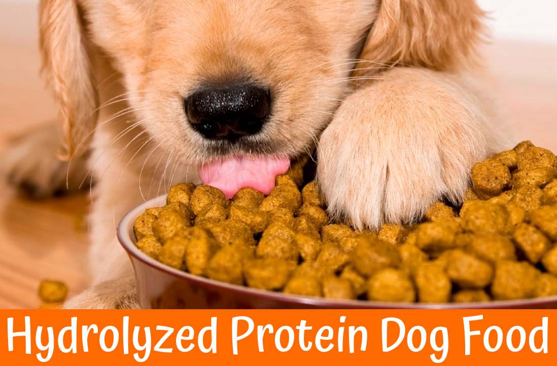 Royal Canin Hydrolyzed Protein Dog Food Reviews Pets Tutorial