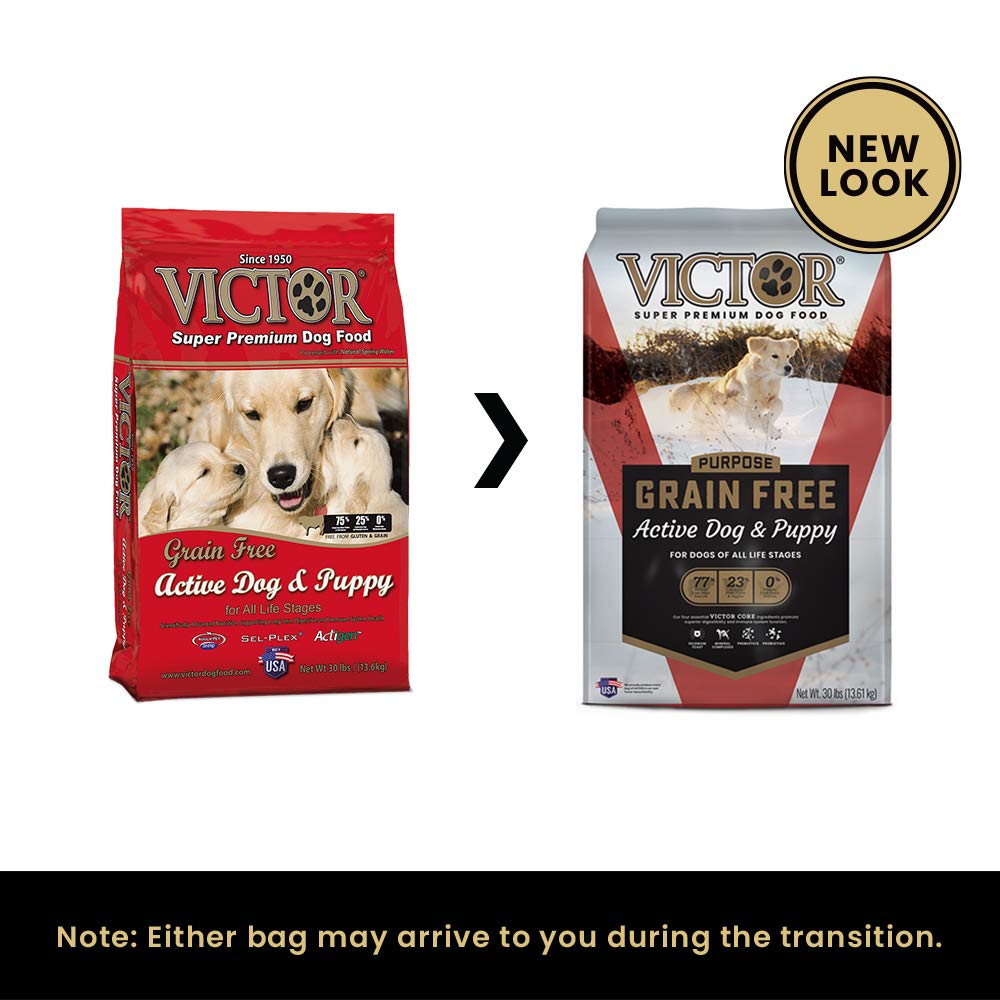 Victor Grain Free Active Dog & Puppy Food Reviews