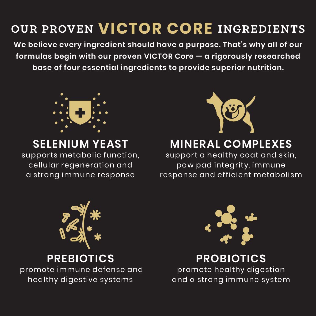 Victor Grain Free Active Dog & Puppy Food Reviews