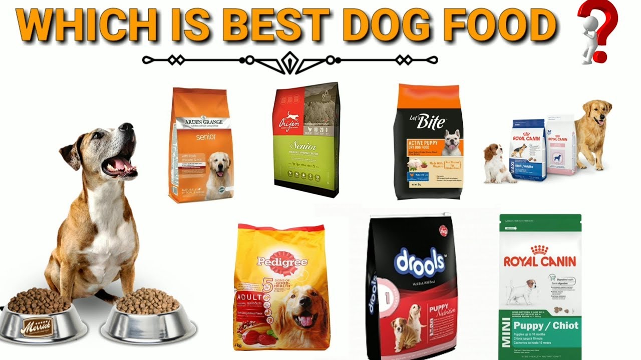 Best Dog Food 2020 | Pets Expert Reviews