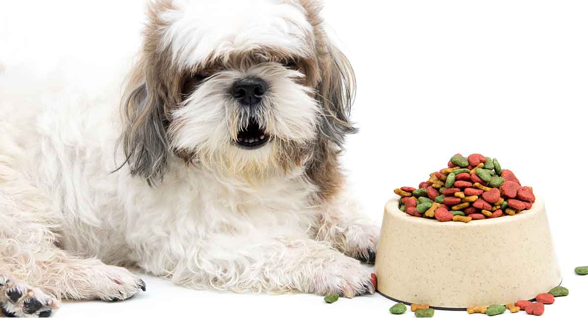 what is the best natural shih tzu chewable food