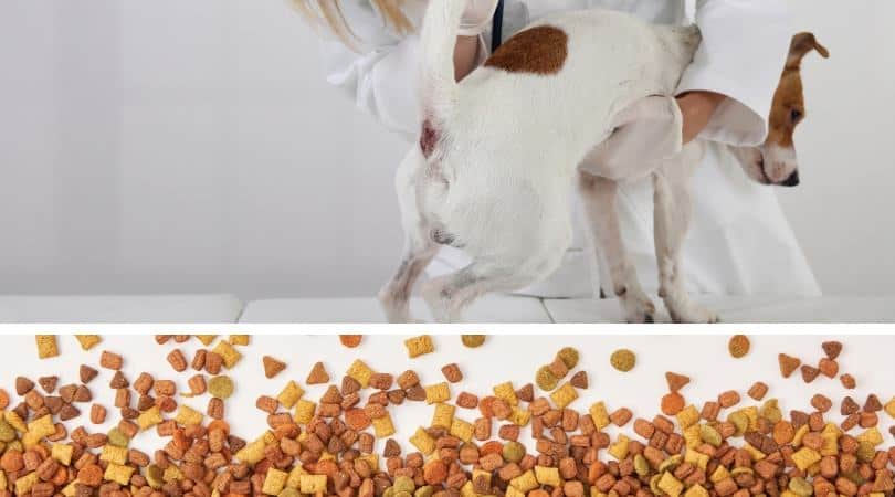 best-high-fiber-dog-food-anal-gland-problems-2020