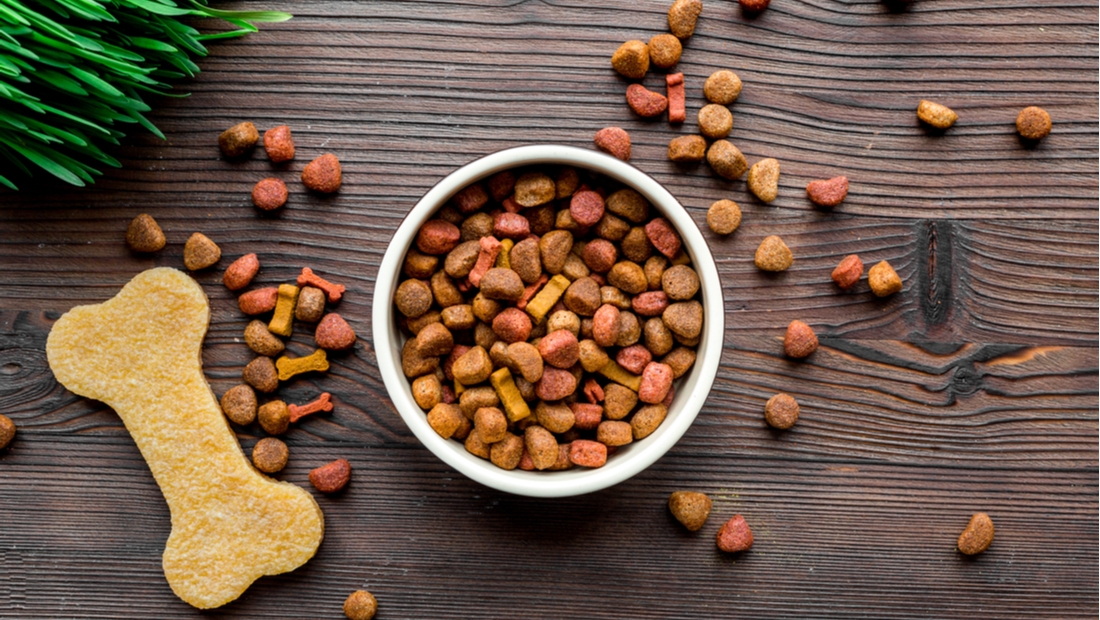 Regular Dog Food vs. Grain-Free Dog Food