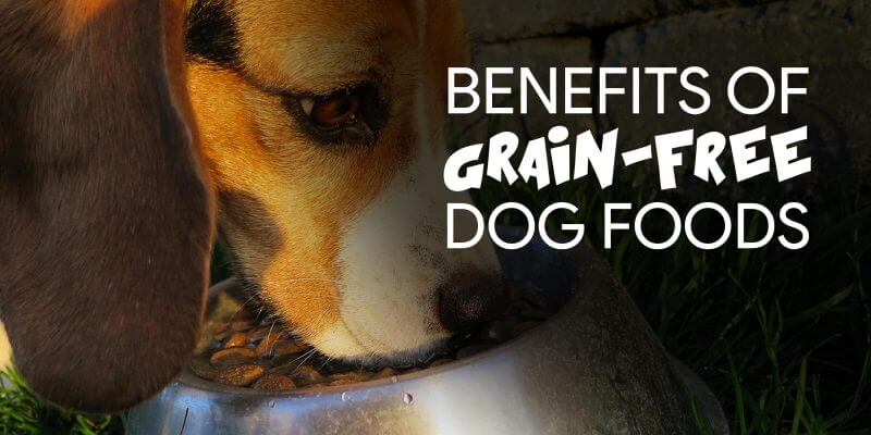 benefits-grain-free-dog-foods