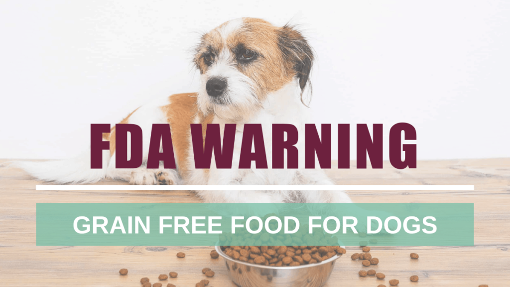 heart problems with grain free dog food