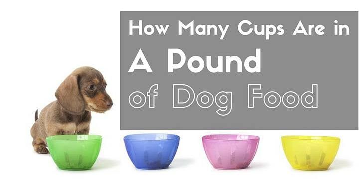 how many cups in a pound of dog food
