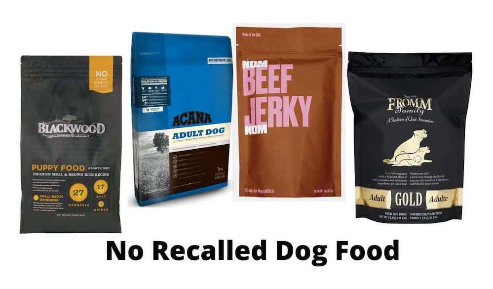 Which Dog Food Has Never Been Recalled