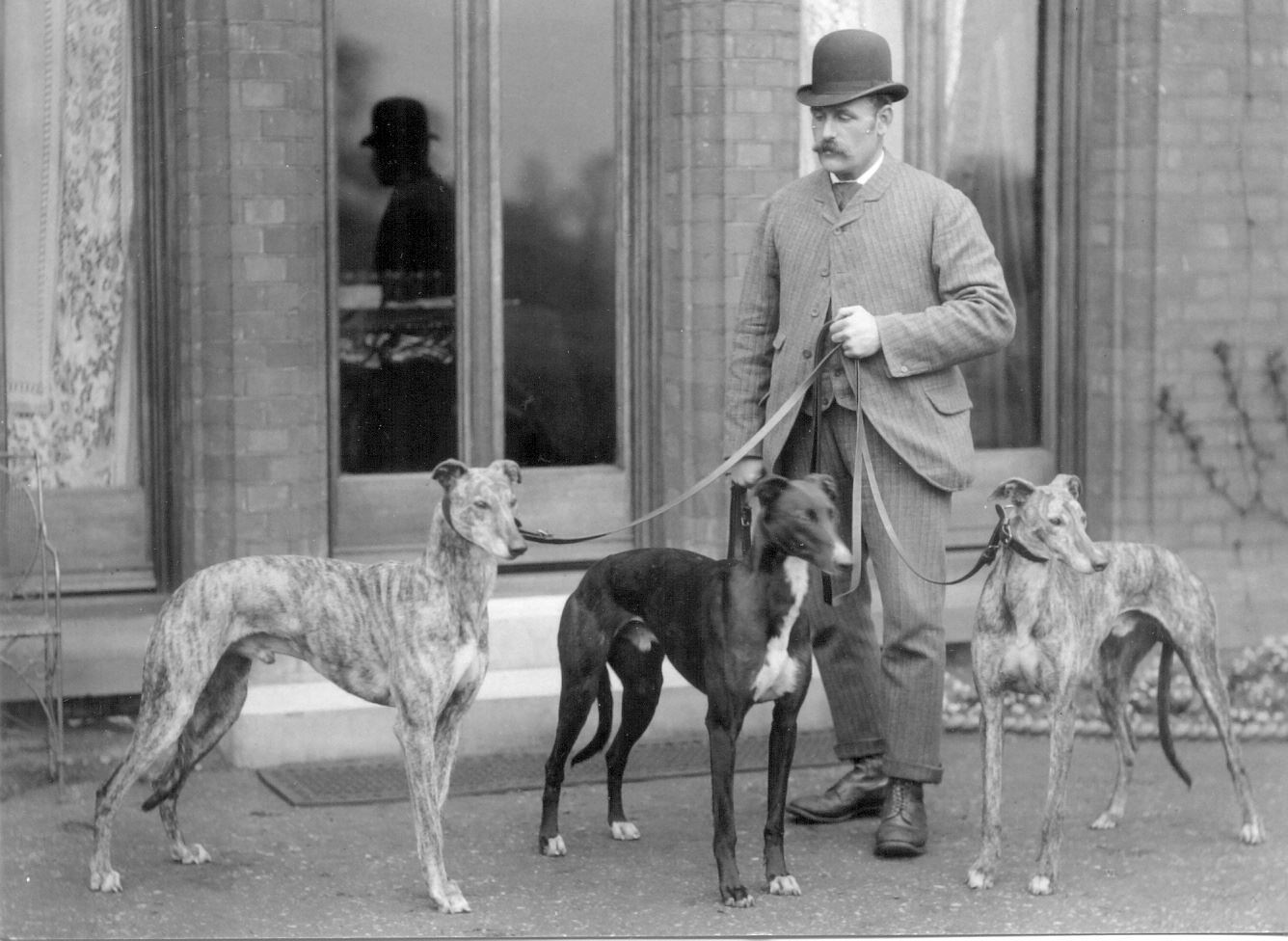 History of Greyhound