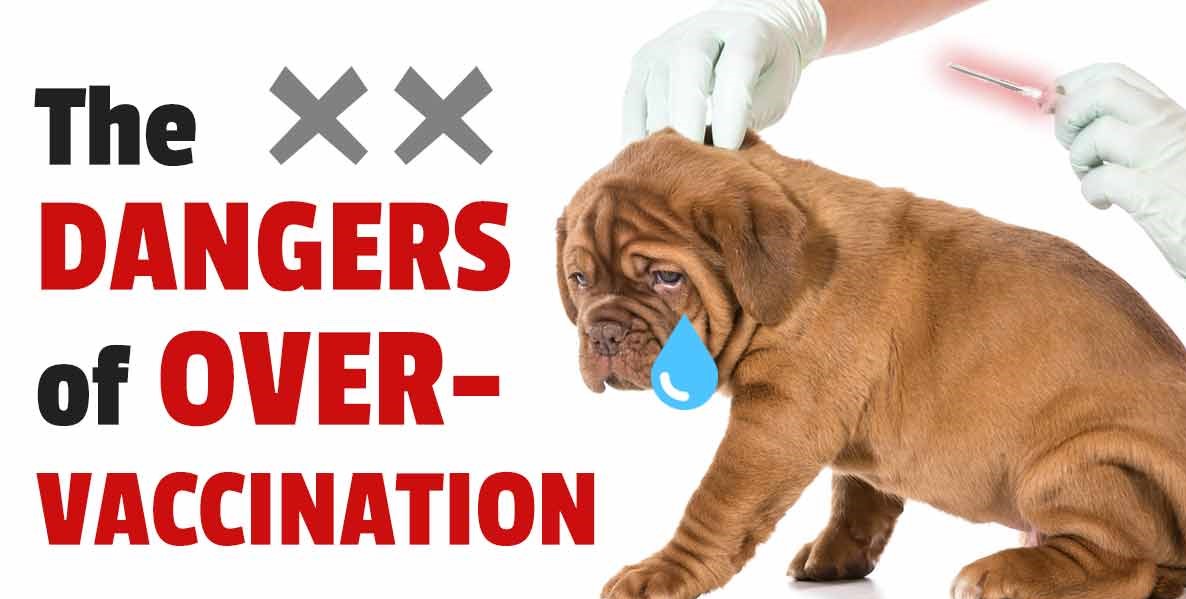 How can Pet Owners Avoid Over-Vaccinating Their Dogs