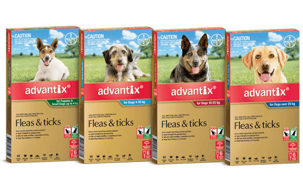 What is K9 Advantix