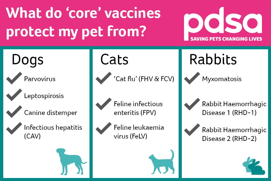 core vaccinations for dogs
