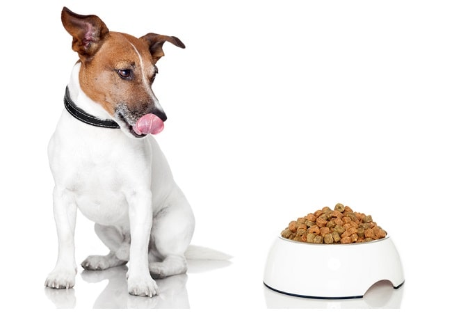 How Many Quarts In A Pound Of Dog Food Pets Tutorial