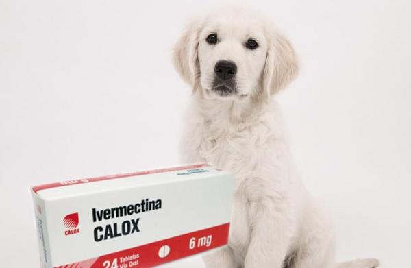 How Much Ivermectin Paste To Give A Dog
