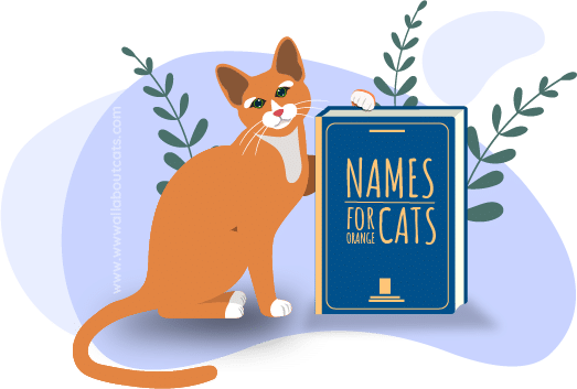 Orange Cat Names