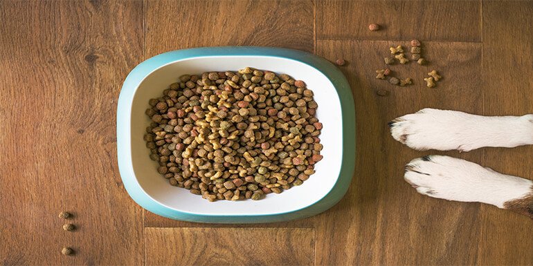 How Many Quarts In A Pound Of Dog Food Pets Tutorial