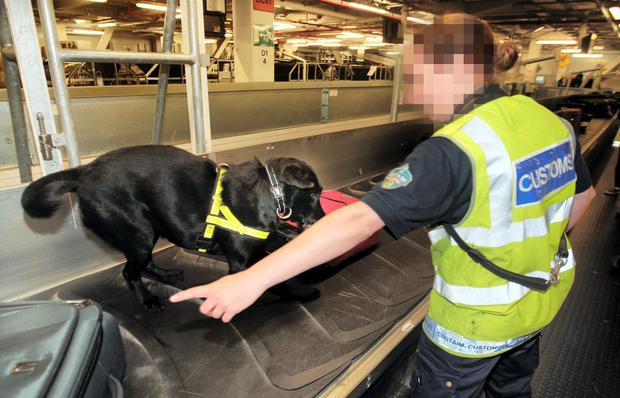 How To Conceal Drugs From A Sniffer Dog 2