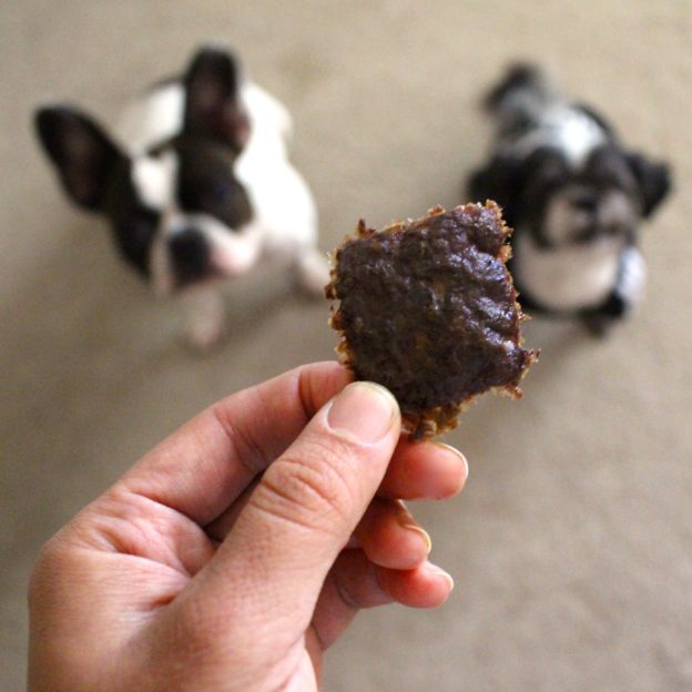 Can Dog Eat Beef Jerky?