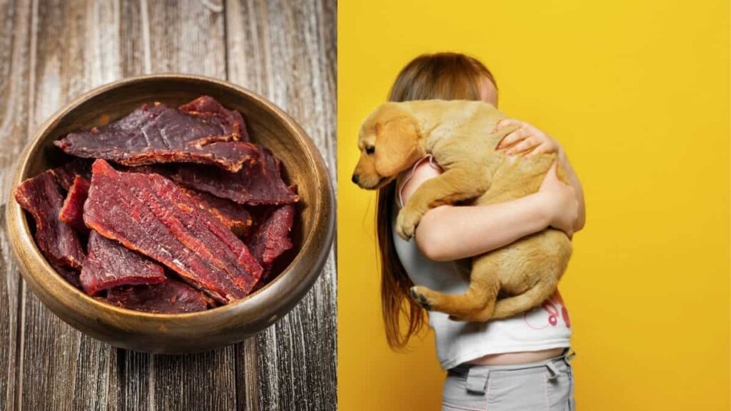Dog Eating Beef Jerky: Is It A Real Problem?