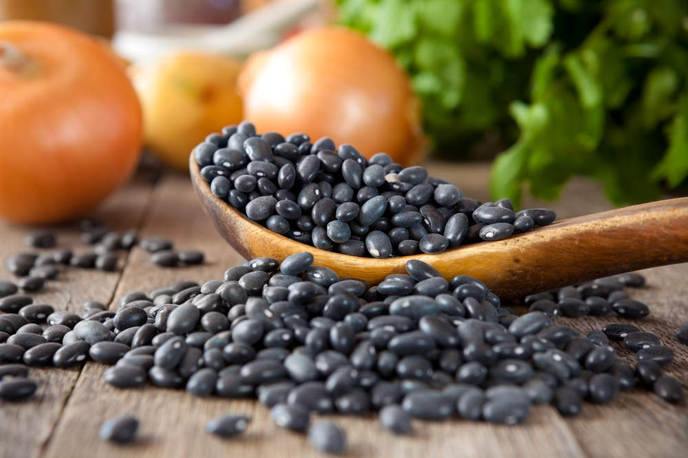 can-dog-eat-black-beans-1.jpg