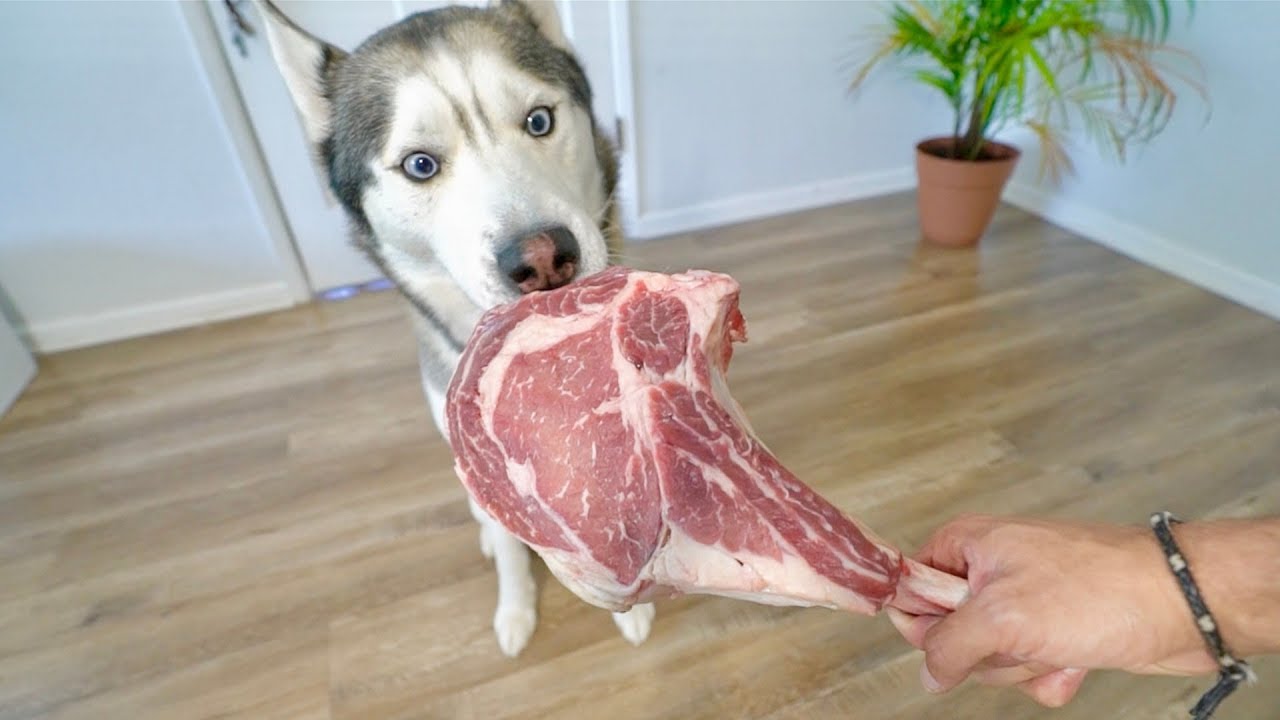 Can Dogs Eat Raw Beef?