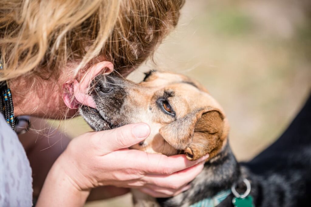 Why Does My Dog Licks My Ears?