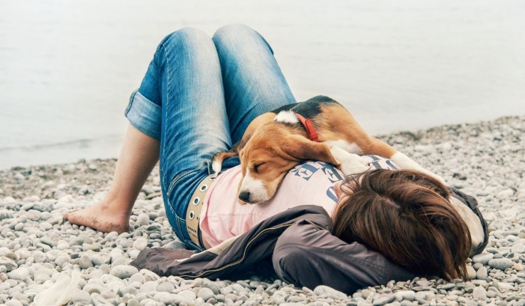 Why Does My Dog Sleep On Top Of Me? How To Avoid It?