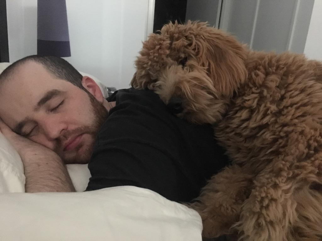 Why Does My Dog Sleep On Top Of Me? How To Avoid It?