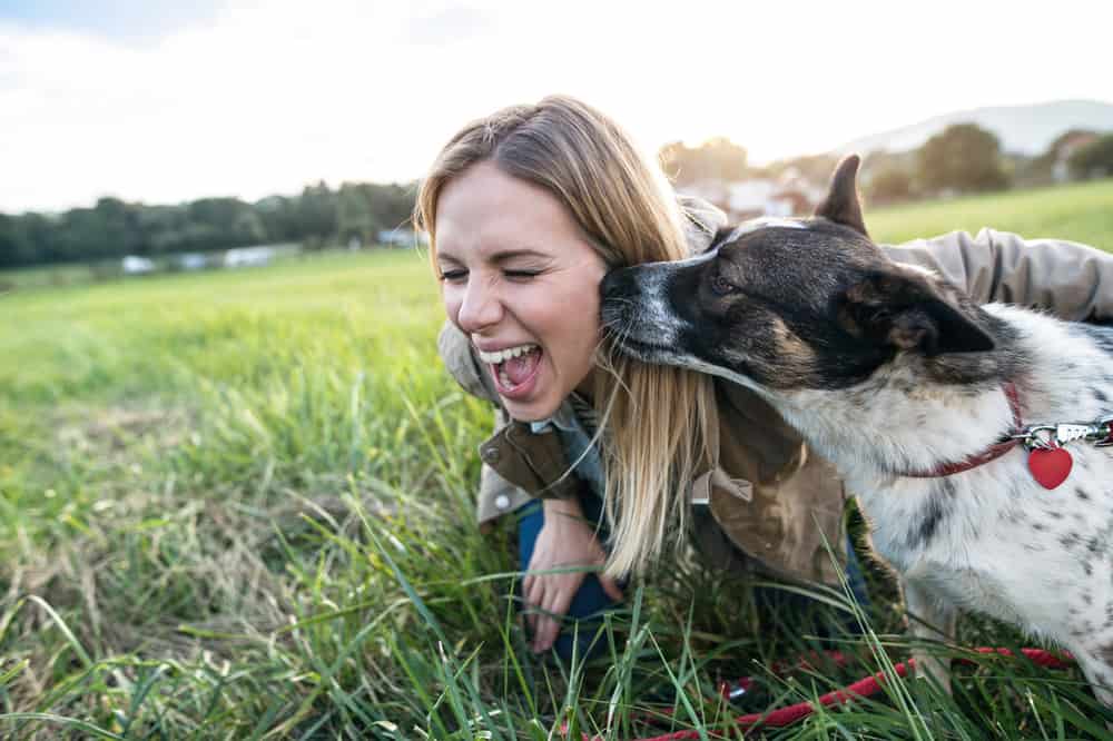 what does it mean when a dog burps a lot