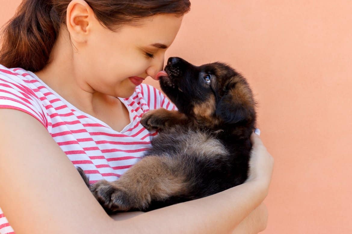 why-is-my-dog-constantly-licking-the-anxious-pet