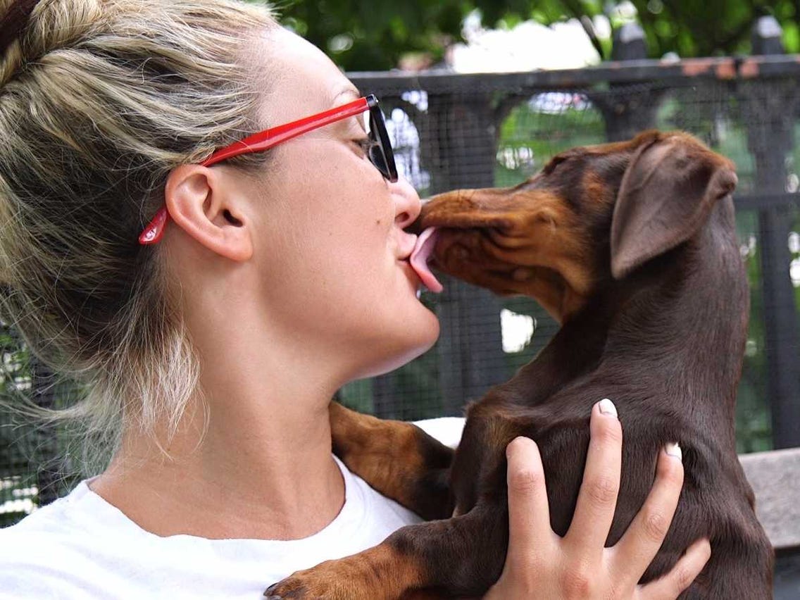 6 Reasons Why My Dog Lick My Mouth