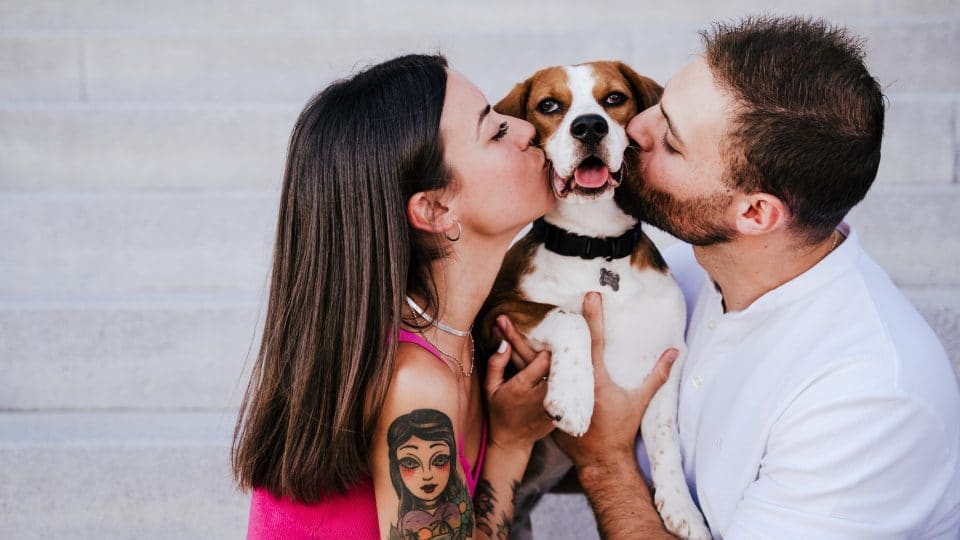 Why Does My Dog Like My Boyfriend More Than Me? (5+ Reasons)