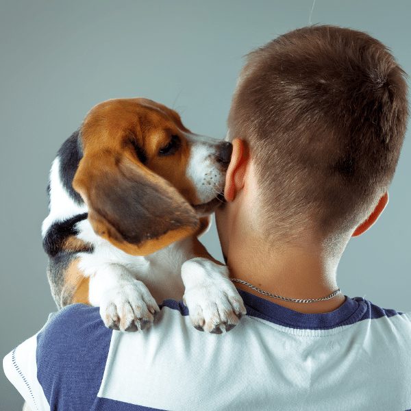 5 Reasons Why My Dog Sniff My Ears