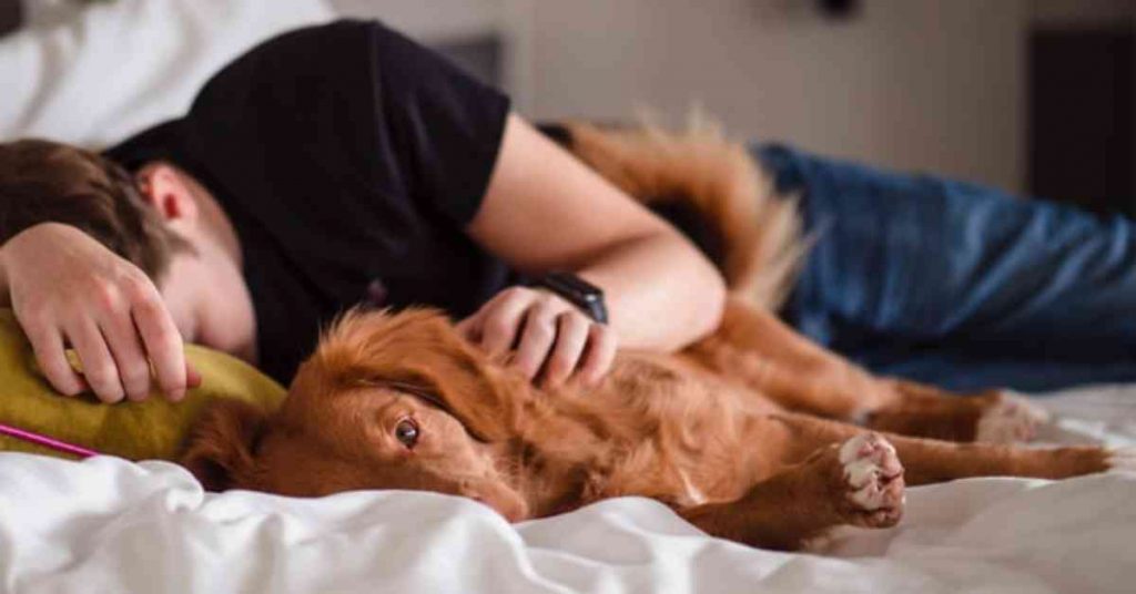 6 Reason Why My Dog Want To Sleep With Me All Of A Sudden