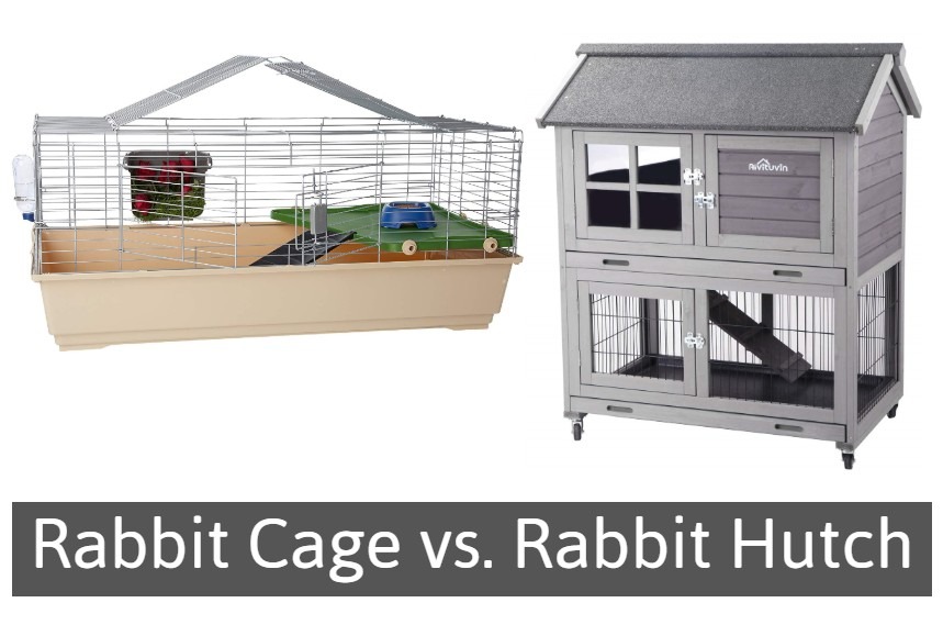 Rabbit cage vs. Rabbit hutch