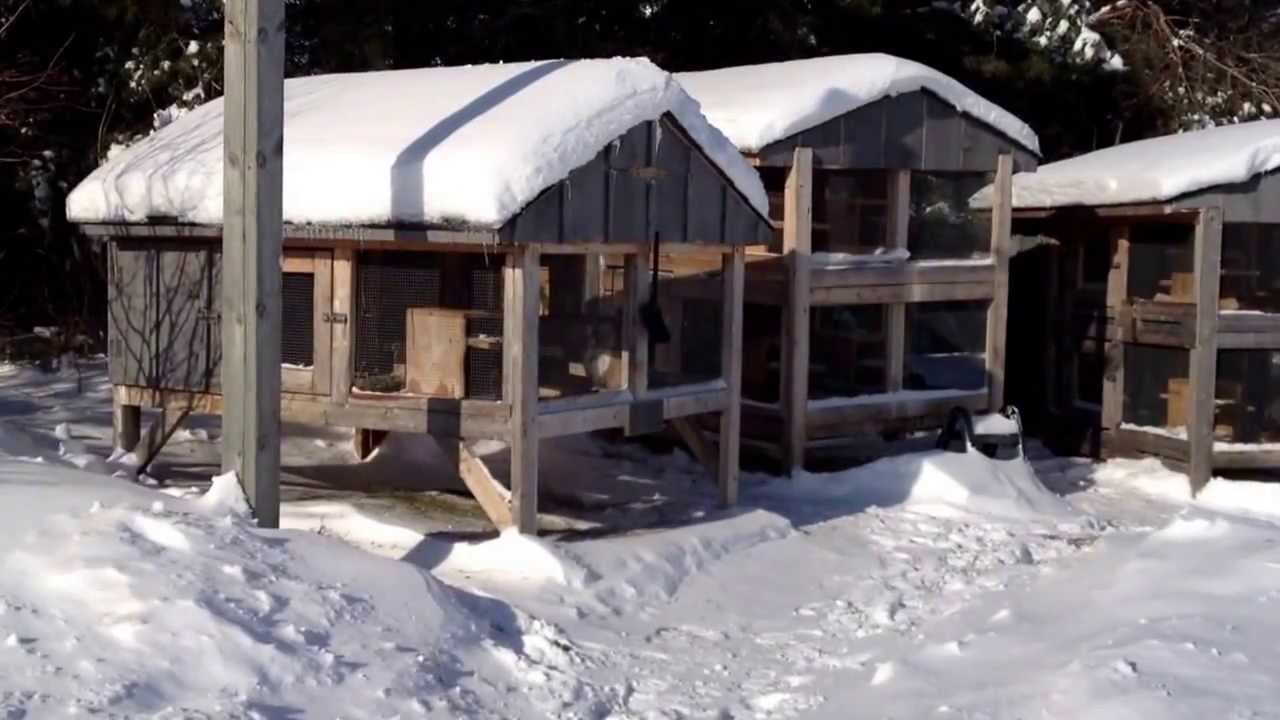 Winter Outdoor Rabbit Hutch