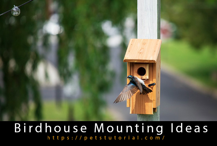 Birdhouse Mounting Ideas-3