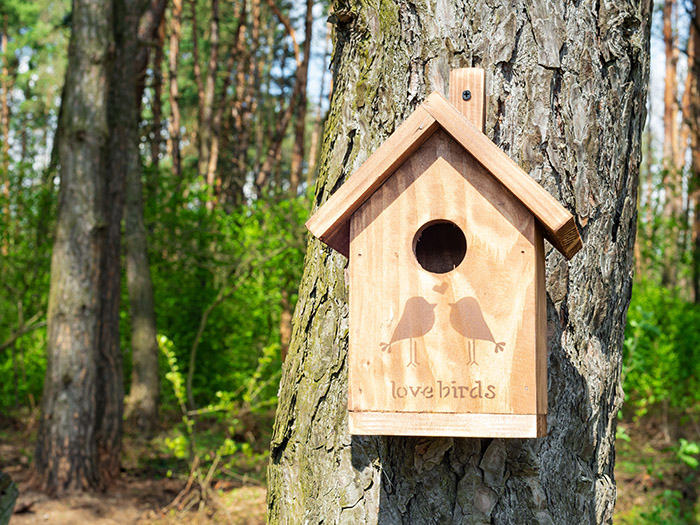 Birdhouse Mounting Ideas