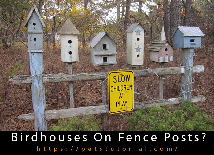 Birdhouses On Fence Posts