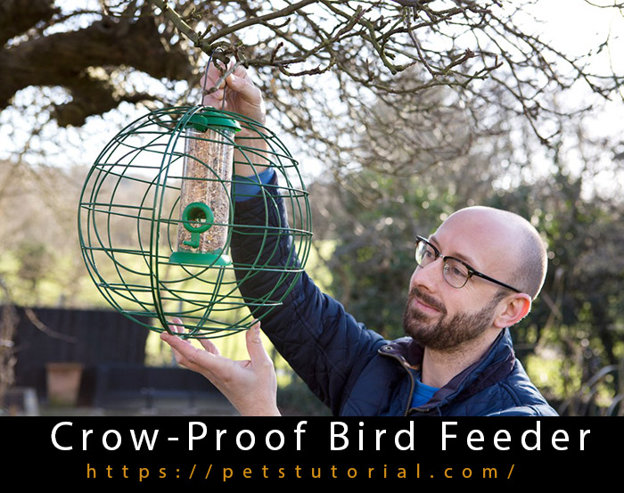 Crow Proof Bird Feeder