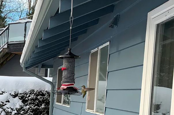 Hang Bird Feeder From Gutter-2