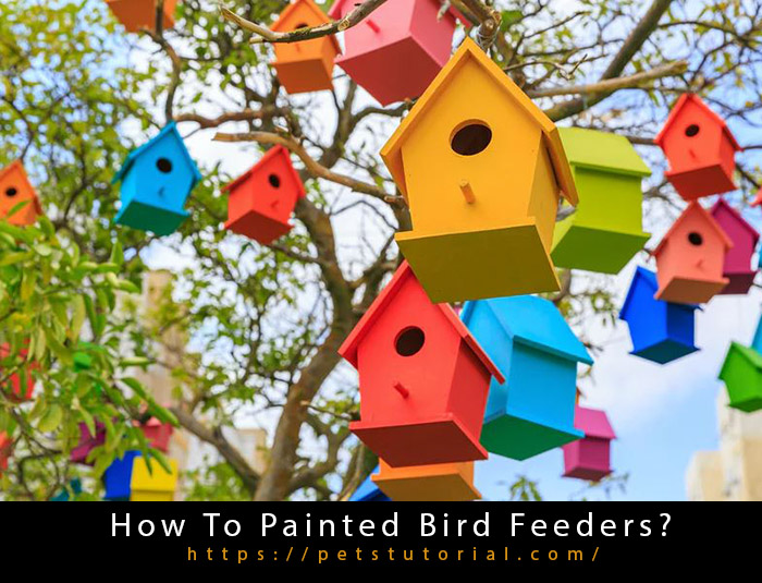 How to painted bird feeders (1)