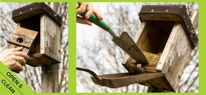 When To Clean Out Bird Houses-1
