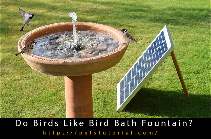 bird bath fountain-2