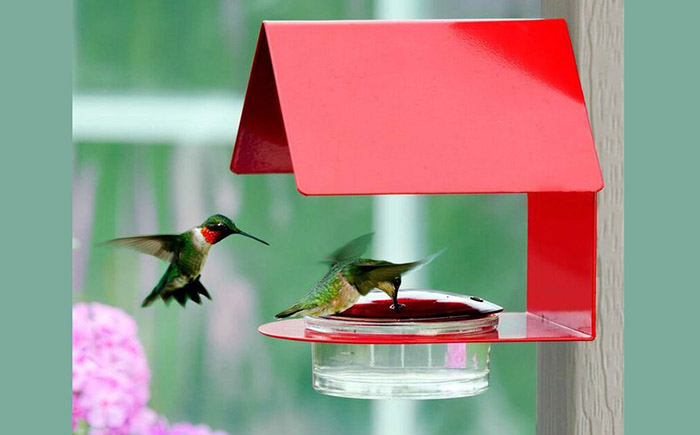 how to hang a hummingbird feeder (1)