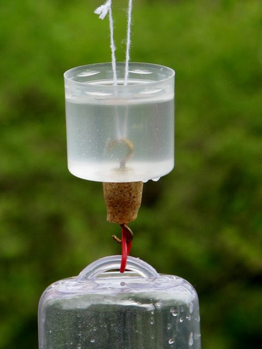 Ant Moat Hummingbird Feeder-2