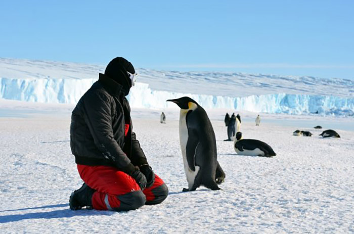 Are Penguins Friendly-2